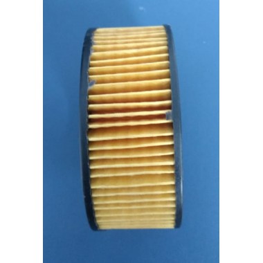 Filtro para o regulador de vacuo servo assistido