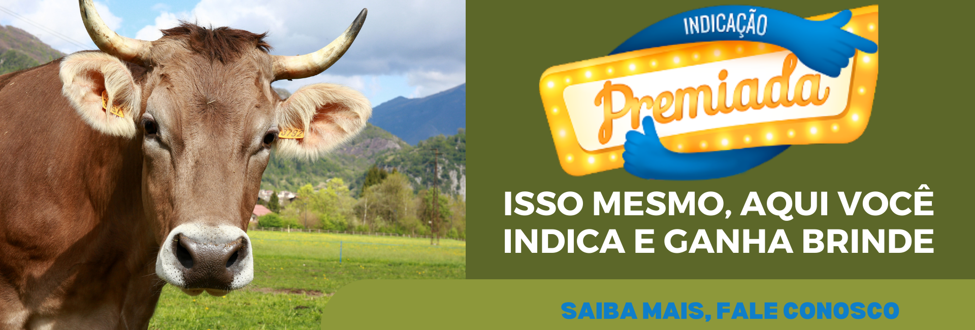 indicação